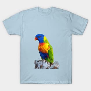 Sugar Rainbow T-Shirt